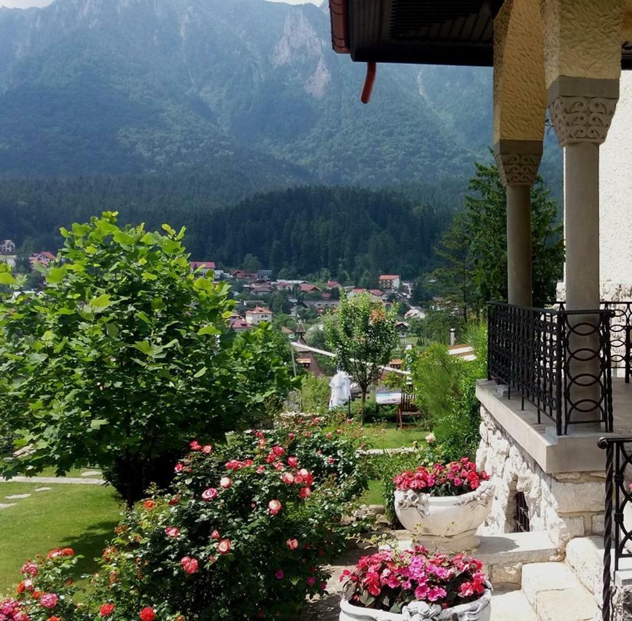 Vila Leonida - Resort Leonida Buşteni Extérieur photo